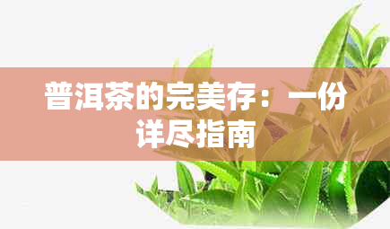 普洱茶的完美存：一份详尽指南