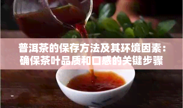 普洱茶的保存方法及其环境因素：确保茶叶品质和口感的关键步骤