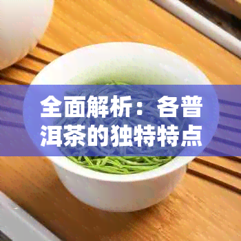 全面解析：各普洱茶的独特特点和区别，让你轻松挑选最适合的茶叶