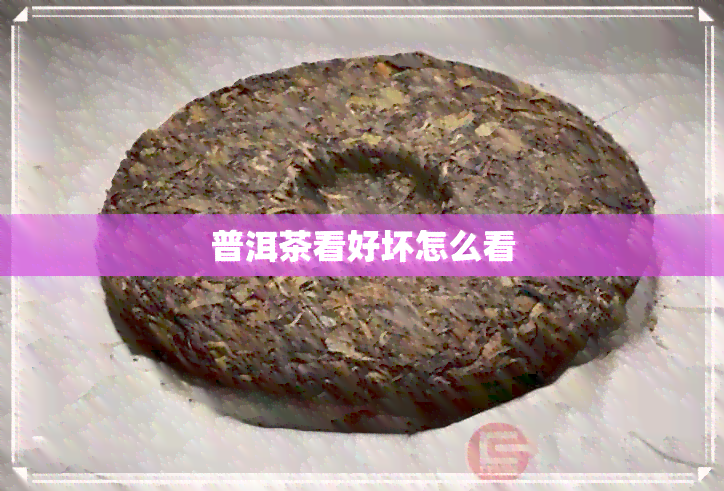 普洱茶看好坏怎么看