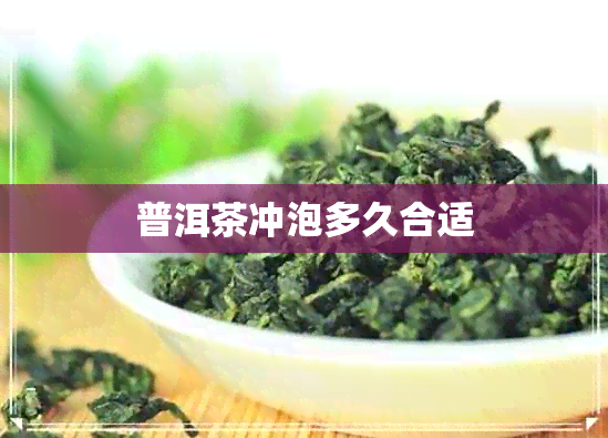 普洱茶冲泡多久合适