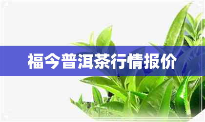 福今普洱茶行情报价