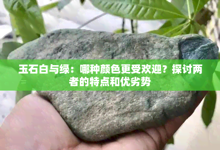 玉石白与绿：哪种颜色更受欢迎？探讨两者的特点和优劣势