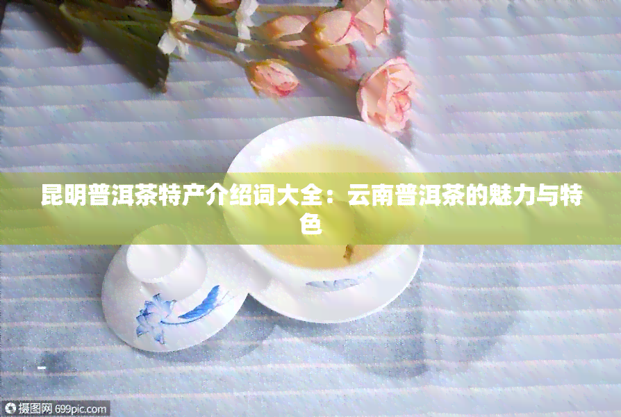 昆明普洱茶特产介绍词大全：云南普洱茶的魅力与特色