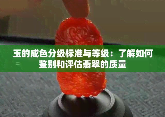 玉的成色分级标准与等级：了解如何鉴别和评估翡翠的质量