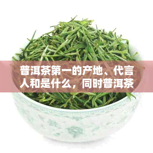 普洱茶之一的产地、代言人和是什么，同时普洱茶之一人是谁？