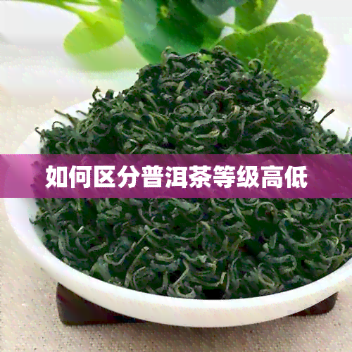 如何区分普洱茶等级高低