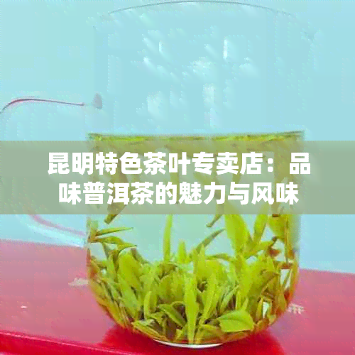 昆明特色茶叶专卖店：品味普洱茶的魅力与风味