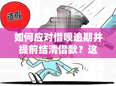 如何应对借呗逾期并提前结清借款？这里有全面解决方案！