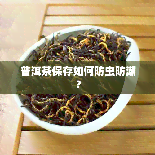 普洱茶保存如何防虫防潮？