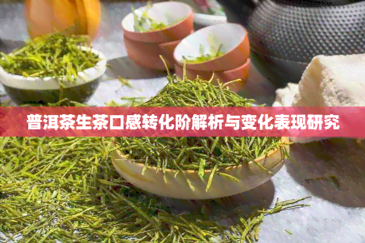 普洱茶生茶口感转化阶解析与变化表现研究