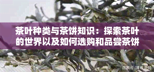 茶叶种类与茶饼知识：探索茶叶的世界以及如何选购和品尝茶饼