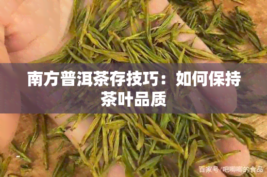 南方普洱茶存技巧：如何保持茶叶品质