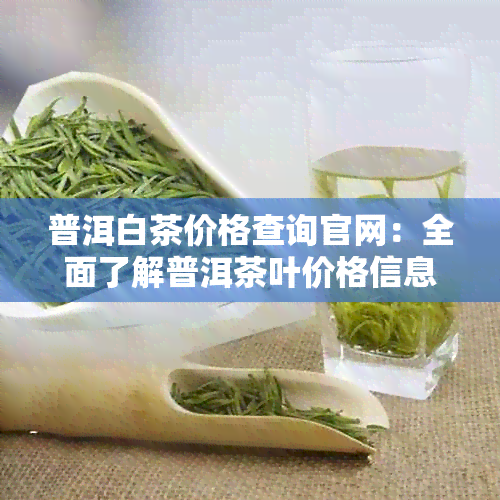 普洱白茶价格查询官网：全面了解普洱茶叶价格信息