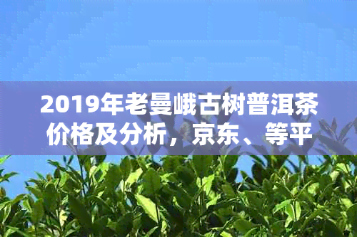 2019年老曼峨古树普洱茶价格及分析，京东、等平台选购指南