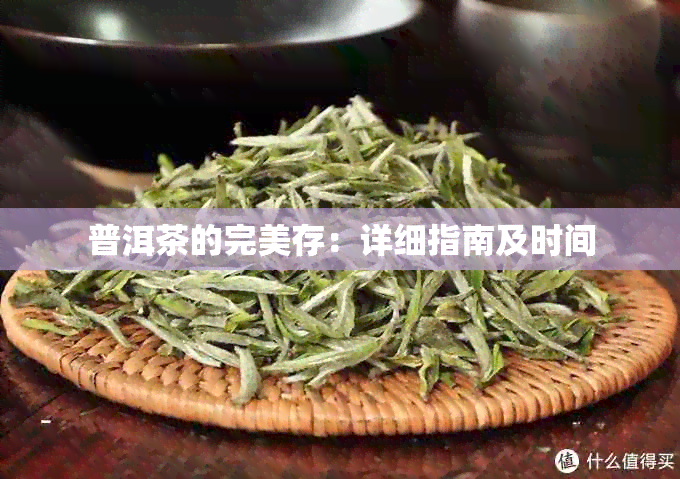 普洱茶的完美存：详细指南及时间