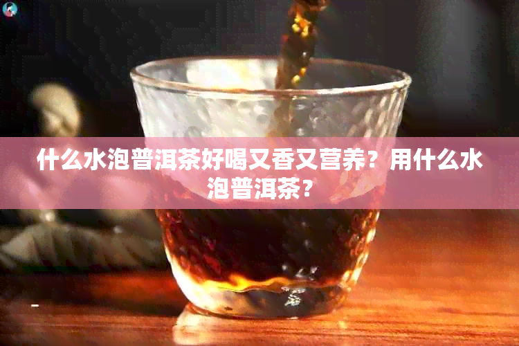 什么水泡普洱茶好喝又香又营养？用什么水泡普洱茶？