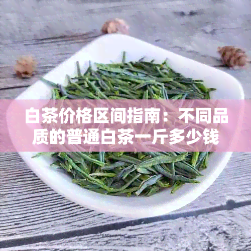 白茶价格区间指南：不同品质的普通白茶一斤多少钱？