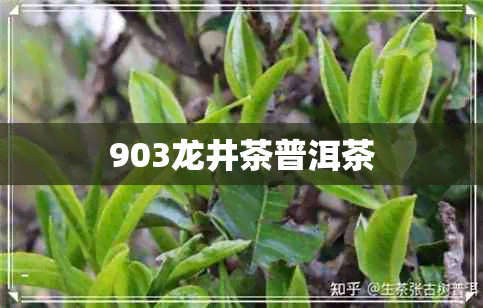 903龙井茶普洱茶