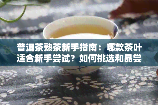 普洱茶熟茶新手指南：哪款茶叶适合新手尝试？如何挑选和品尝？