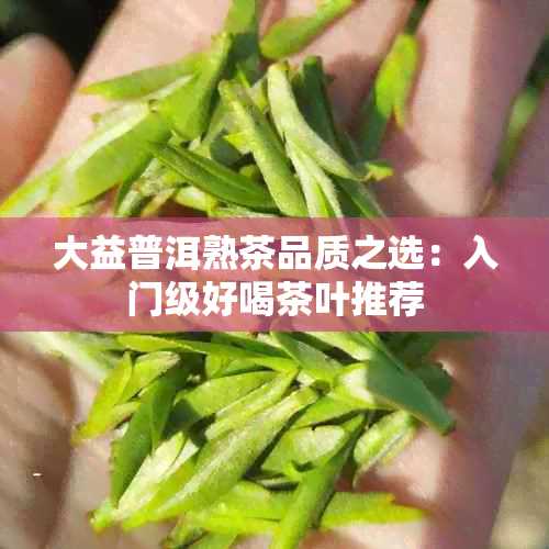 大益普洱熟茶品质之选：入门级好喝茶叶推荐