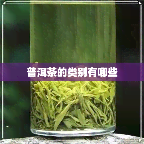 普洱茶的类别有哪些