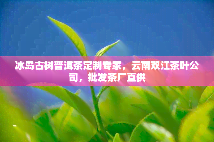 冰岛古树普洱茶定制专家，云南双江茶叶公司，批发茶厂直供