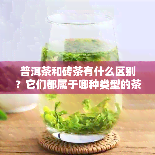 普洱茶和砖茶有什么区别？它们都属于哪种类型的茶叶？