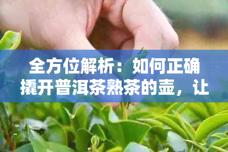 全方位解析：如何正确撬开普洱茶熟茶的壶，让你轻松品茗