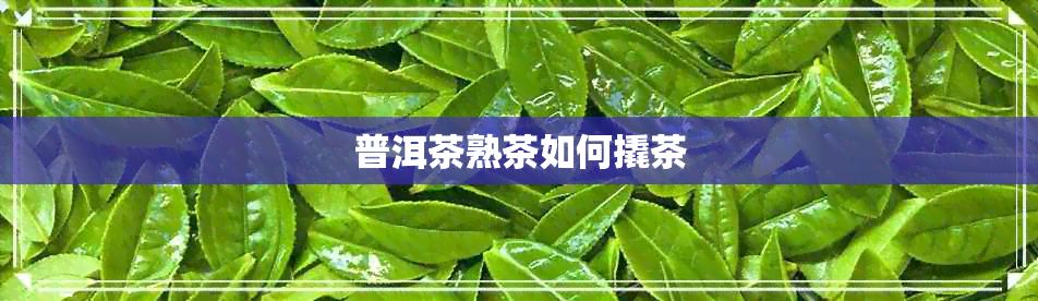 普洱茶熟茶如何撬茶