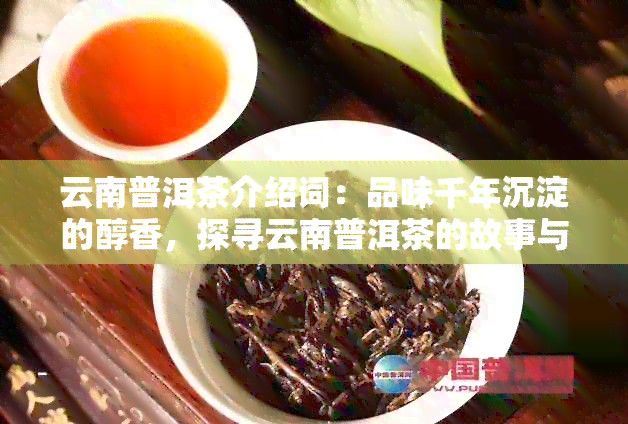 云南普洱茶介绍词：品味千年沉淀的醇香，探寻云南普洱茶的故事与魅力。