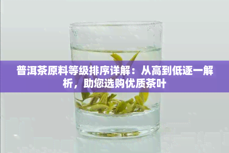 普洱茶原料等级排序详解：从高到低逐一解析，助您选购优质茶叶