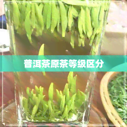 普洱茶原茶等级区分