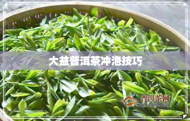 大益普洱茶冲泡技巧