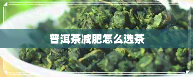 普洱茶减肥怎么选茶