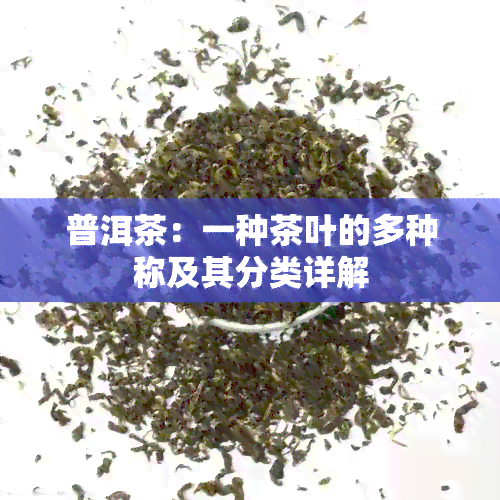 普洱茶：一种茶叶的多种称及其分类详解