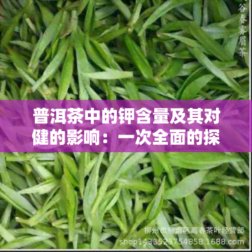 普洱茶中的钾含量及其对健的影响：一次全面的探索