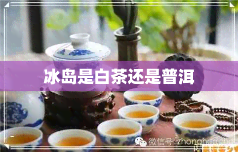 冰岛是白茶还是普洱