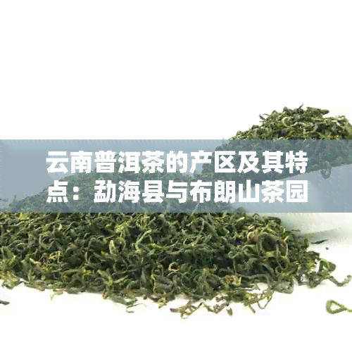 云南普洱茶的产区及其特点：勐海县与布朗山茶园的比较