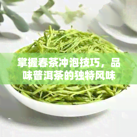 掌握春茶冲泡技巧，品味普洱茶的独特风味