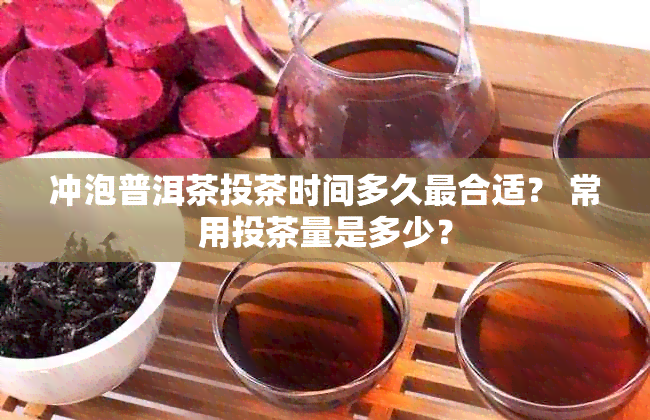 冲泡普洱茶投茶时间多久最合适？ 常用投茶量是多少？