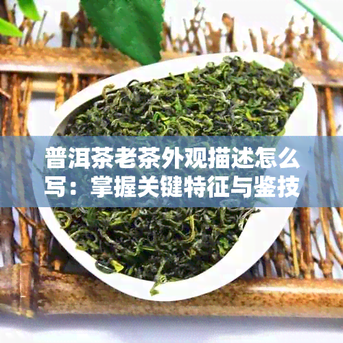 普洱茶老茶外观描述怎么写：掌握关键特征与鉴技巧，成为品鉴高手！