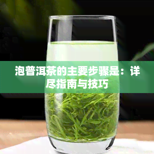 泡普洱茶的主要步骤是：详尽指南与技巧