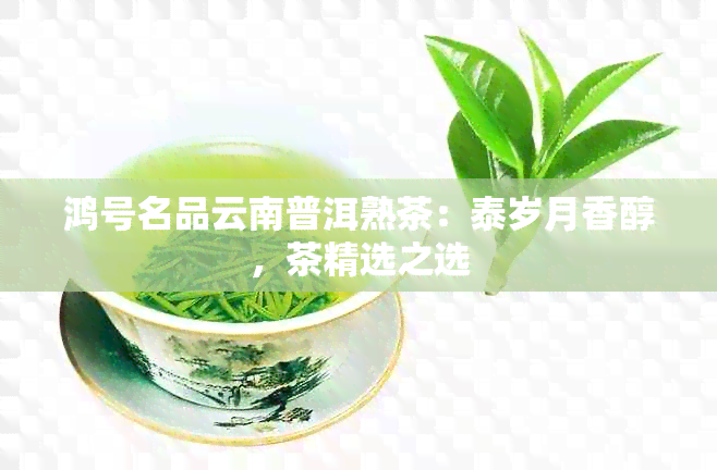 鸿号名品云南普洱熟茶：泰岁月香醇，茶精选之选