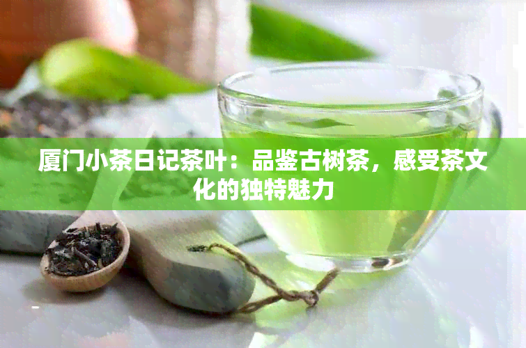 厦门小茶日记茶叶：品鉴古树茶，感受茶文化的独特魅力