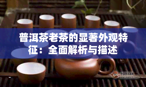 普洱茶老茶的显著外观特征：全面解析与描述