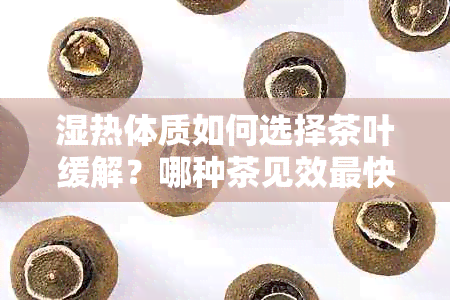 湿热体质如何选择茶叶缓解？哪种茶见效最快？