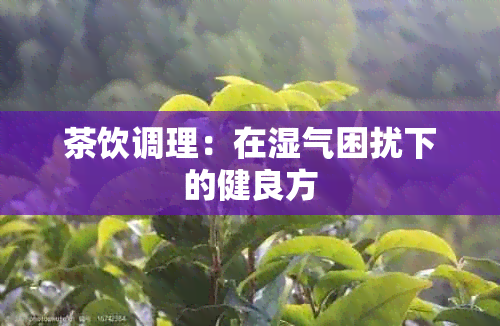 茶饮调理：在湿气困扰下的健良方