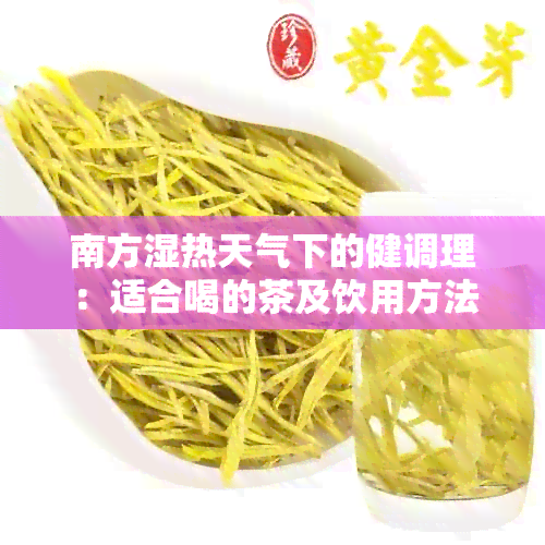 南方湿热天气下的健调理：适合喝的茶及饮用方法