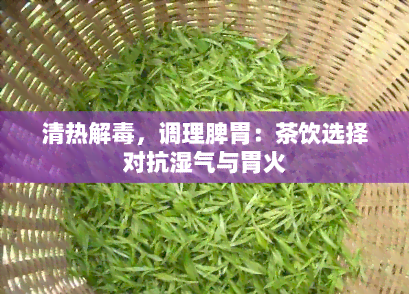 清热解，调理脾胃：茶饮选择对抗湿气与胃火